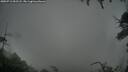 ./images/calvert/fitz-hugh-hecate/20250713/fitz-hugh-hecate20250713_052508M.jpg