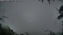 ./images/calvert/fitz-hugh-hecate/20250713/fitz-hugh-hecate20250713_053009M.jpg