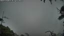 ./images/calvert/fitz-hugh-hecate/20250713/fitz-hugh-hecate20250713_054008M.jpg