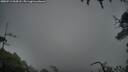 ./images/calvert/fitz-hugh-hecate/20250713/fitz-hugh-hecate20250713_054508M.jpg