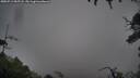 ./images/calvert/fitz-hugh-hecate/20250713/fitz-hugh-hecate20250713_055508M.jpg