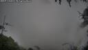 ./images/calvert/fitz-hugh-hecate/20250713/fitz-hugh-hecate20250713_060510M.jpg
