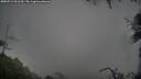 ./images/calvert/fitz-hugh-hecate/20250713/fitz-hugh-hecate20250713_061510M.jpg