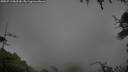 ./images/calvert/fitz-hugh-hecate/20250713/fitz-hugh-hecate20250713_062510M.jpg