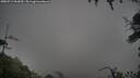 ./images/calvert/fitz-hugh-hecate/20250713/fitz-hugh-hecate20250713_063010M.jpg
