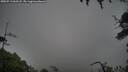./images/calvert/fitz-hugh-hecate/20250713/fitz-hugh-hecate20250713_063507M.jpg