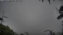 ./images/calvert/fitz-hugh-hecate/20250713/fitz-hugh-hecate20250713_064509M.jpg