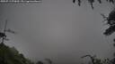 ./images/calvert/fitz-hugh-hecate/20250713/fitz-hugh-hecate20250713_070010M.jpg