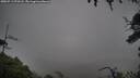 ./images/calvert/fitz-hugh-hecate/20250713/fitz-hugh-hecate20250713_070508M.jpg