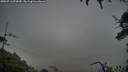 ./images/calvert/fitz-hugh-hecate/20250713/fitz-hugh-hecate20250713_072009M.jpg