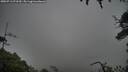 ./images/calvert/fitz-hugh-hecate/20250713/fitz-hugh-hecate20250713_072510M.jpg