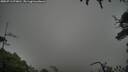 ./images/calvert/fitz-hugh-hecate/20250713/fitz-hugh-hecate20250713_073010M.jpg