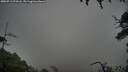 ./images/calvert/fitz-hugh-hecate/20250713/fitz-hugh-hecate20250713_073506M.jpg