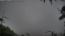 ./images/calvert/fitz-hugh-hecate/20250713/fitz-hugh-hecate20250713_074009M.jpg