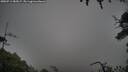 ./images/calvert/fitz-hugh-hecate/20250713/fitz-hugh-hecate20250713_082007M.jpg