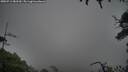 ./images/calvert/fitz-hugh-hecate/20250713/fitz-hugh-hecate20250713_083510M.jpg