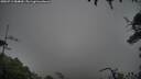 ./images/calvert/fitz-hugh-hecate/20250713/fitz-hugh-hecate20250713_084009M.jpg
