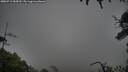 ./images/calvert/fitz-hugh-hecate/20250713/fitz-hugh-hecate20250713_084510M.jpg