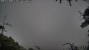 ./images/calvert/fitz-hugh-hecate/20250713/fitz-hugh-hecate20250713_085009M.jpg