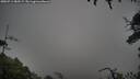 ./images/calvert/fitz-hugh-hecate/20250713/fitz-hugh-hecate20250713_085508M.jpg