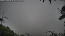 ./images/calvert/fitz-hugh-hecate/20250713/fitz-hugh-hecate20250713_091010M.jpg