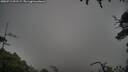 ./images/calvert/fitz-hugh-hecate/20250713/fitz-hugh-hecate20250713_091509M.jpg