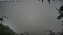 ./images/calvert/fitz-hugh-hecate/20250713/fitz-hugh-hecate20250713_092509M.jpg