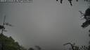 ./images/calvert/fitz-hugh-hecate/20250713/fitz-hugh-hecate20250713_093508M.jpg