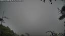 ./images/calvert/fitz-hugh-hecate/20250713/fitz-hugh-hecate20250713_094010M.jpg