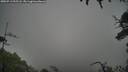 ./images/calvert/fitz-hugh-hecate/20250713/fitz-hugh-hecate20250713_095508M.jpg