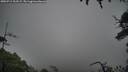 ./images/calvert/fitz-hugh-hecate/20250713/fitz-hugh-hecate20250713_103508M.jpg