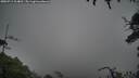 ./images/calvert/fitz-hugh-hecate/20250713/fitz-hugh-hecate20250713_104010M.jpg