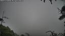 ./images/calvert/fitz-hugh-hecate/20250713/fitz-hugh-hecate20250713_105010M.jpg