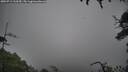 ./images/calvert/fitz-hugh-hecate/20250713/fitz-hugh-hecate20250713_110510M.jpg