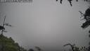 ./images/calvert/fitz-hugh-hecate/20250713/fitz-hugh-hecate20250713_112507M.jpg