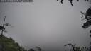 ./images/calvert/fitz-hugh-hecate/20250713/fitz-hugh-hecate20250713_115009M.jpg