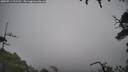 ./images/calvert/fitz-hugh-hecate/20250713/fitz-hugh-hecate20250713_121510M.jpg