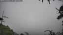 ./images/calvert/fitz-hugh-hecate/20250713/fitz-hugh-hecate20250713_125509M.jpg