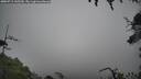 ./images/calvert/fitz-hugh-hecate/20250713/fitz-hugh-hecate20250713_145510M.jpg
