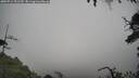 ./images/calvert/fitz-hugh-hecate/20250713/fitz-hugh-hecate20250713_151510M.jpg