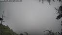 ./images/calvert/fitz-hugh-hecate/20250713/fitz-hugh-hecate20250713_161009M.jpg