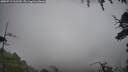./images/calvert/fitz-hugh-hecate/20250713/fitz-hugh-hecate20250713_162510M.jpg