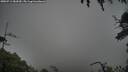 ./images/calvert/fitz-hugh-hecate/20250713/fitz-hugh-hecate20250713_181009M.jpg