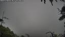 ./images/calvert/fitz-hugh-hecate/20250713/fitz-hugh-hecate20250713_181510M.jpg