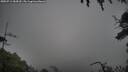 ./images/calvert/fitz-hugh-hecate/20250713/fitz-hugh-hecate20250713_184510M.jpg