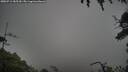 ./images/calvert/fitz-hugh-hecate/20250713/fitz-hugh-hecate20250713_185510M.jpg