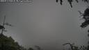 ./images/calvert/fitz-hugh-hecate/20250713/fitz-hugh-hecate20250713_190508M.jpg