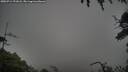 ./images/calvert/fitz-hugh-hecate/20250713/fitz-hugh-hecate20250713_191008M.jpg