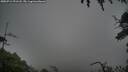 ./images/calvert/fitz-hugh-hecate/20250713/fitz-hugh-hecate20250713_191508M.jpg