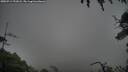 ./images/calvert/fitz-hugh-hecate/20250713/fitz-hugh-hecate20250713_192008M.jpg